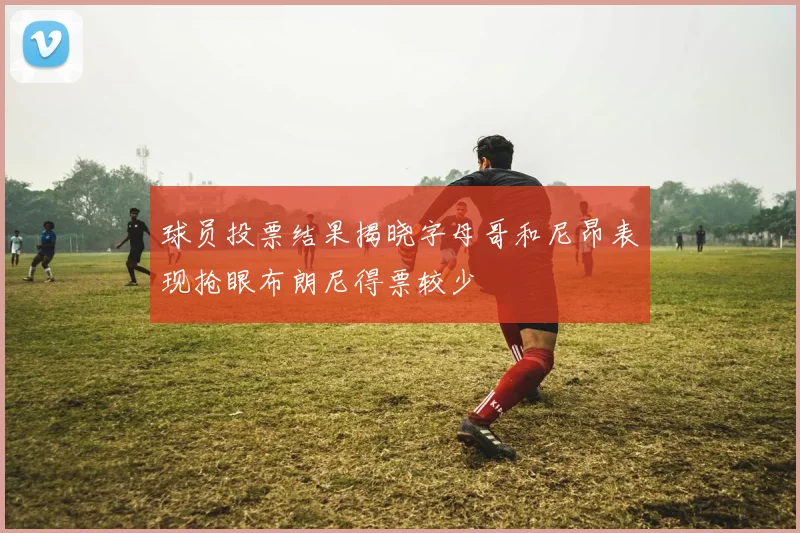球员投票结果揭晓字母哥和尼昂表现抢眼布朗尼得票较少
