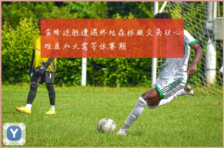 黄蜂连胜遭遇终结森林狼交易核心难度加大需等休赛期