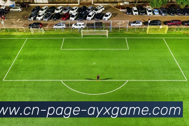 爱游戏服务体系